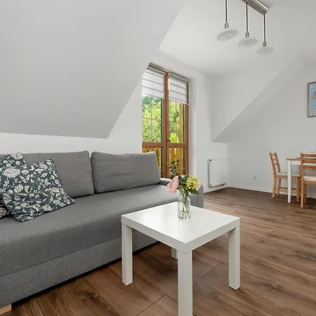 Nowoczesne I Eleganckie Sun Seasons 24 W Karpaczu By Renters Apartment Karpacz